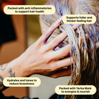 Blonde Toning Shampoo